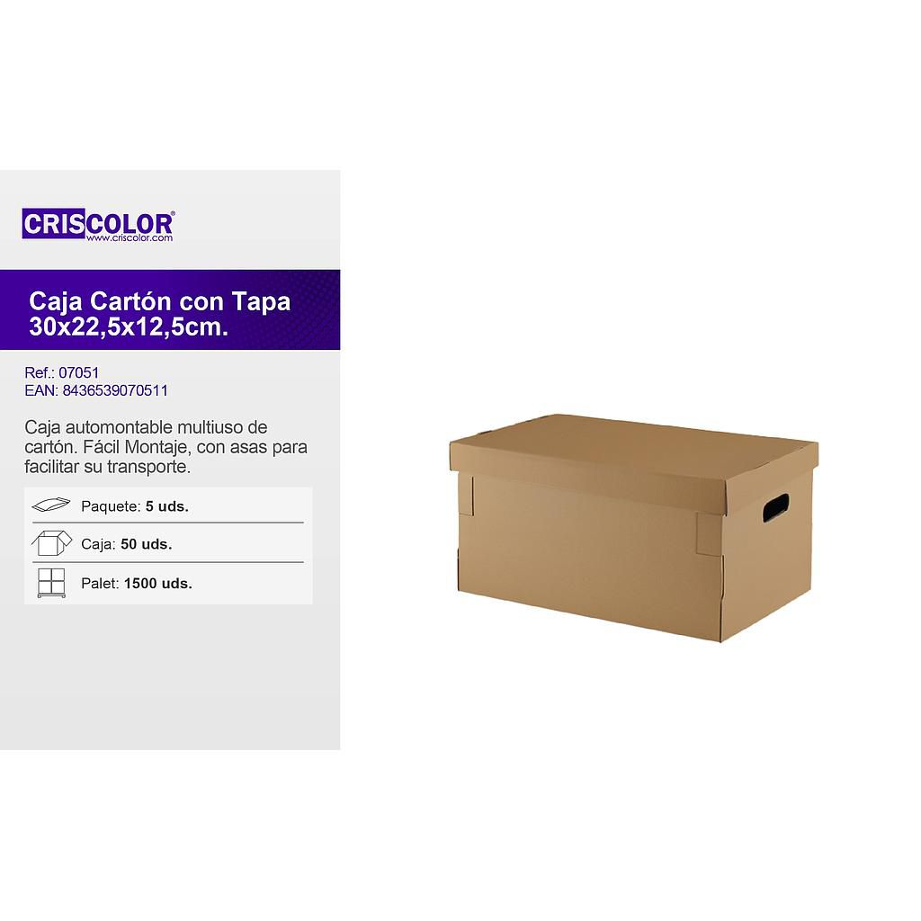 CAJA CON TAPA 300X225X121MM (Precio Unitario)