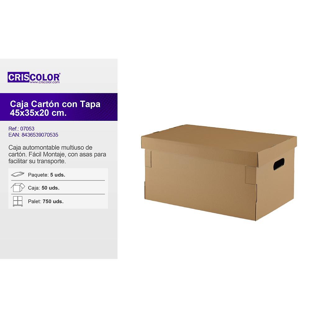 CAJA CON TAPA 450X350X200MM (Paquete de 5Und)