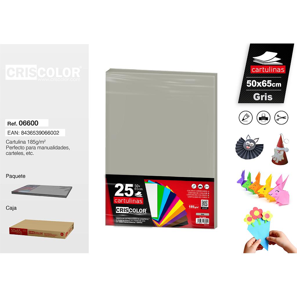 CARTULINA 50X65CM GRIS (Paquete de 25 Und.)
