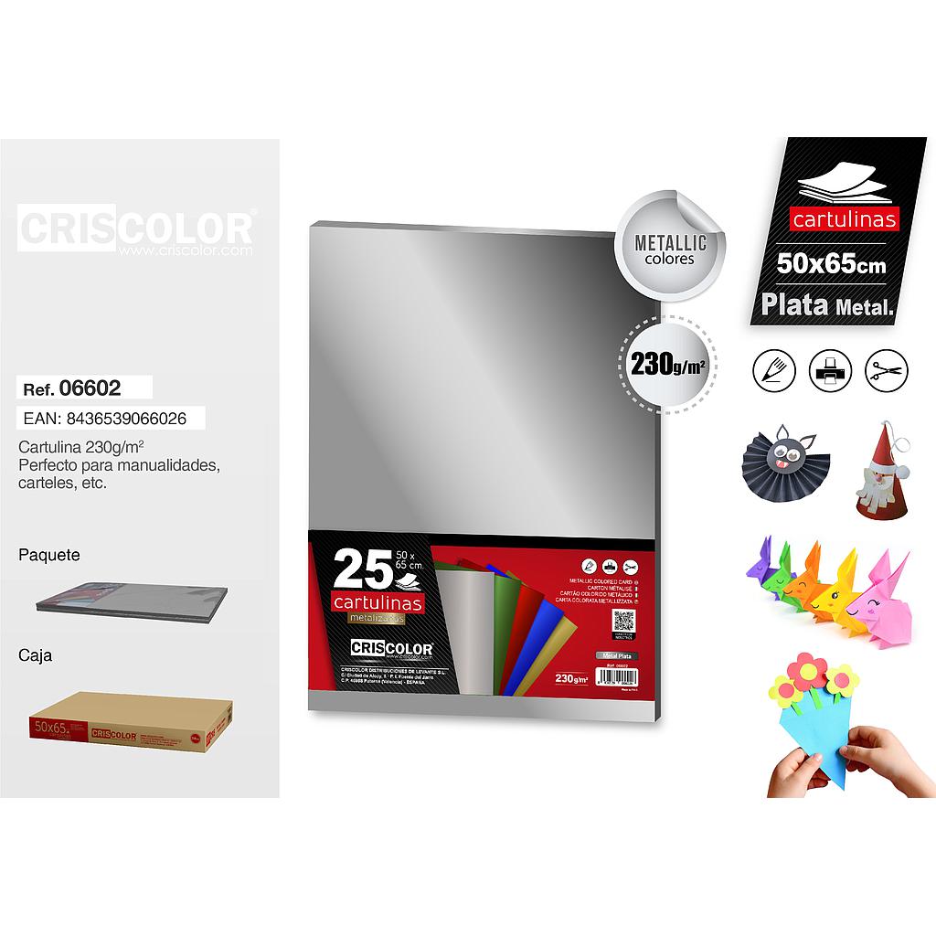 CARTULINA 50X65CM PLATA METALICO (Paquete de 25 Und.)