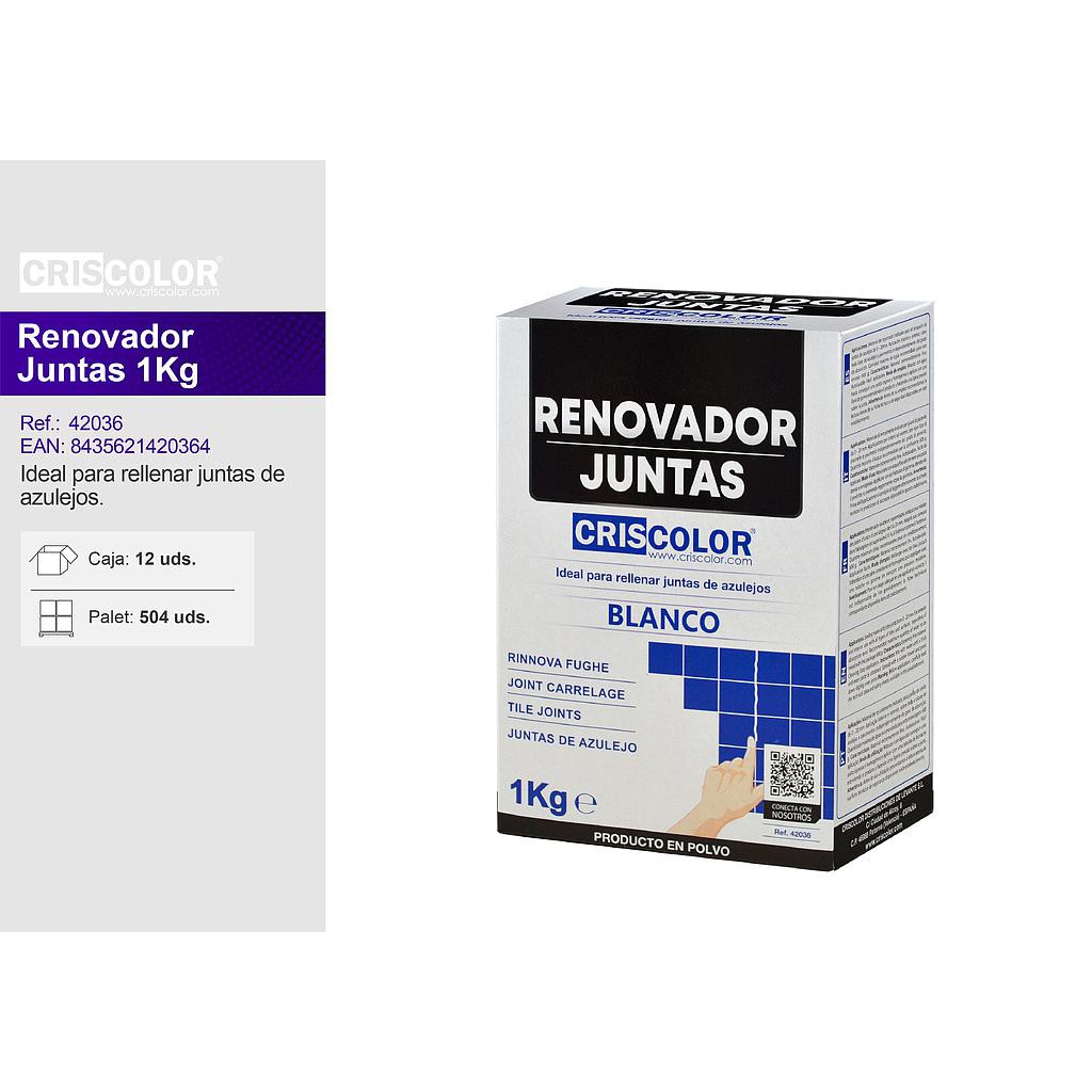 ECOBRICO RENOVADOR JUNTAS BLANCO 1KG