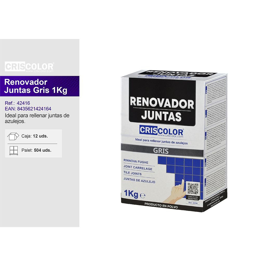 ECOBRICO RENOVADOR JUNTAS GRIS 1KG