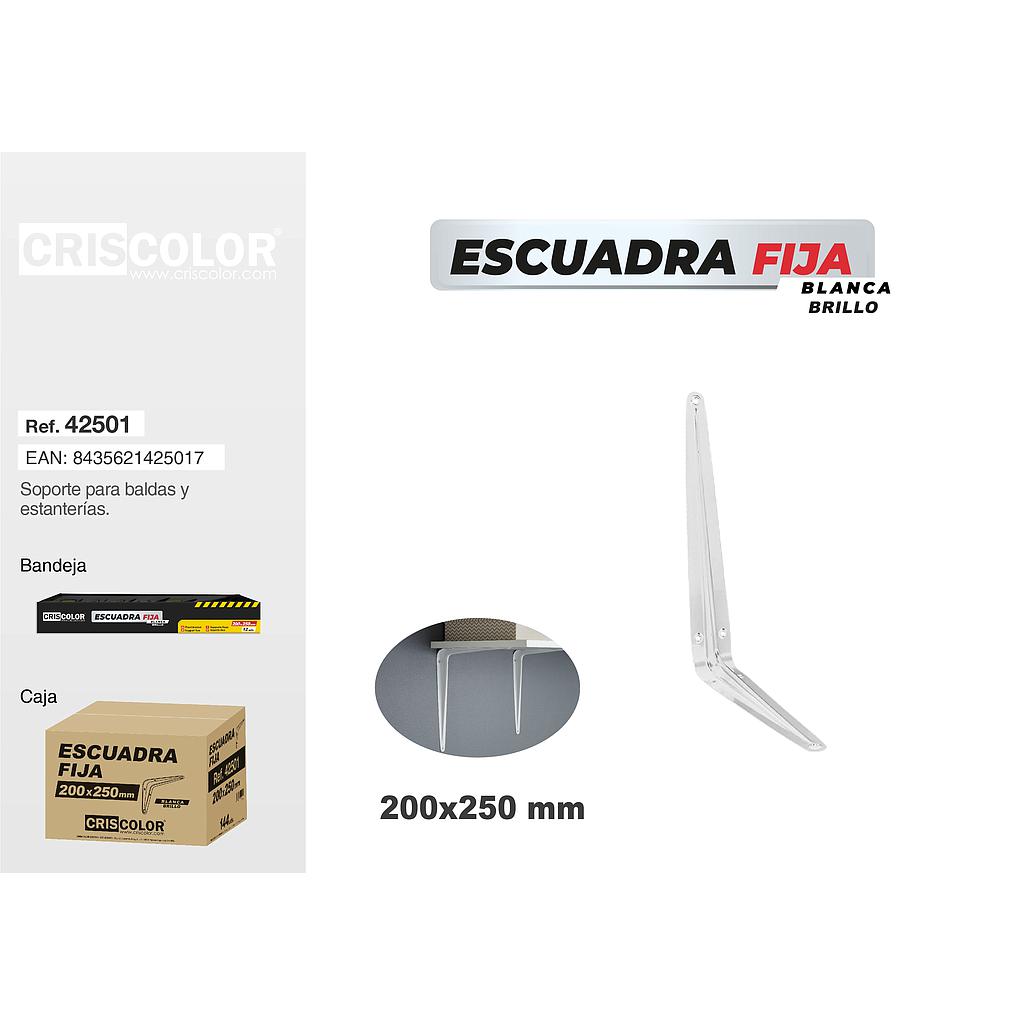 ESCUADRA BLANCA BRILLO 200X250MM