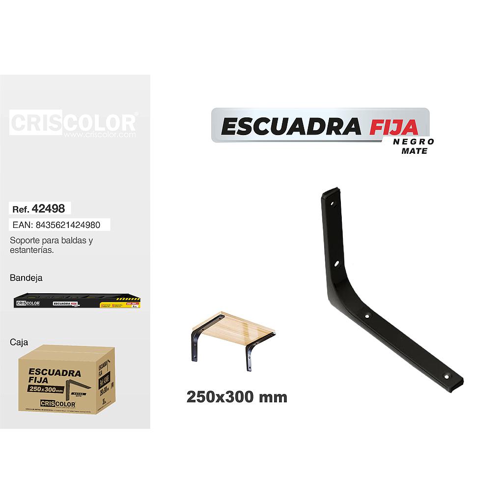 ESCUADRA NEGRA MATE 250X300MM