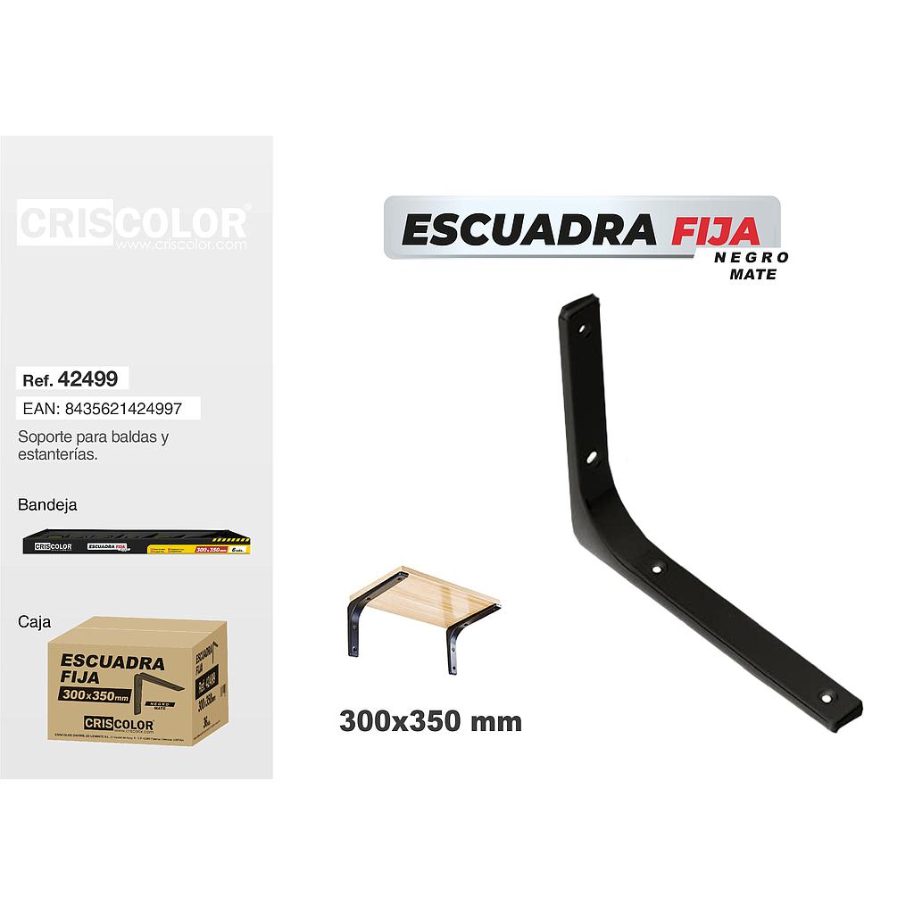 ESCUADRA NEGRA MATE 300X350MM