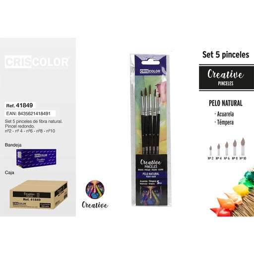 [41849] SET 5 PINCELES CERDA NEGRO/PLATA